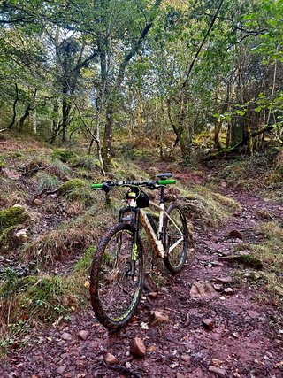 Bicicleta Ghost Lector 3.9 LC Carbono