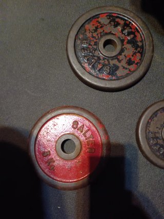 6Discos de pesa Salter 2de 2kg 2de 3kg 2de 4kg