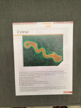 Biologia.blu plus il corpo umano