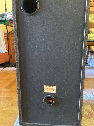 Altavoces Pioneer Negros