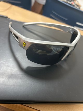 Gafas de Sol Ferrari Plata y Negro