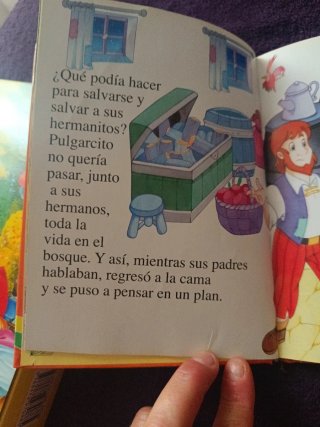 Libro de cuento