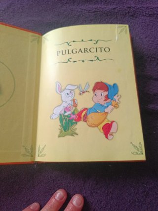 Libro de cuento