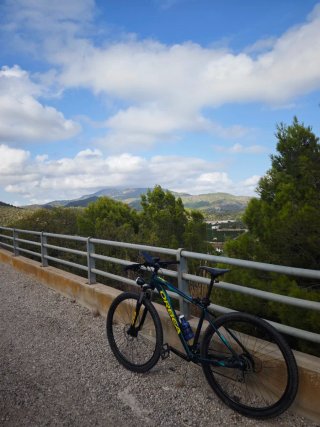 Bicicleta Orbea MX 50 Verde Ruedas 29