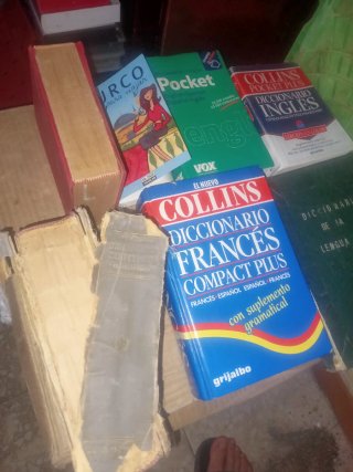 Lote 7 Diccionarios Idiomas y Colección Sevilla