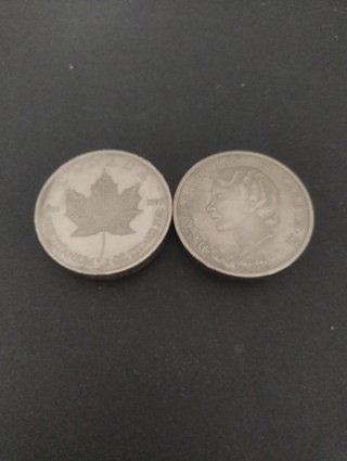 Moneta di Titanio 1 oz Canada
