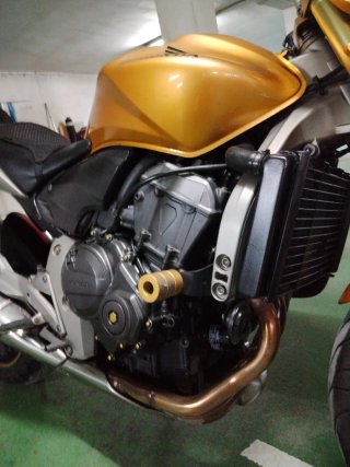 Moto Honda Hornet CB 600 Dorada.