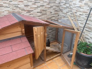 Gallinero de Madera Maciza para 6 Gallinas