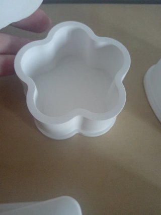Scatoline in gesso