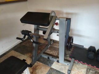 Banco Scott Biceps/Triceps Body Solid mas 16 kilos