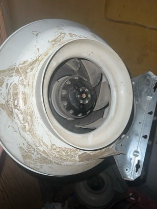 Extractor de aire cultivo