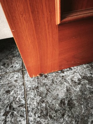 2 Puertas de Madera con Cristal