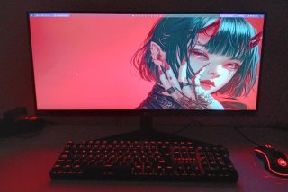 Monitor LG UltraWide 29 pulgadas