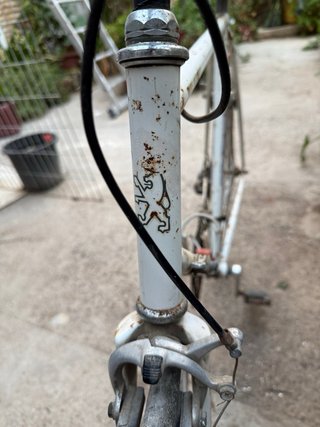 Bicicleta de Carretera Peugeot Vintage