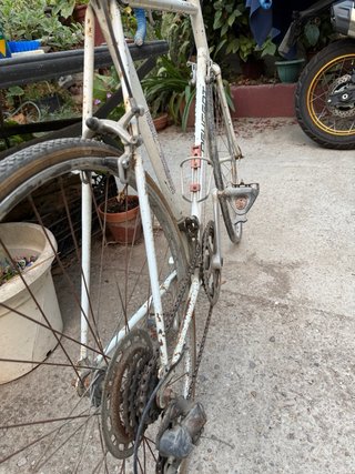 Bicicleta de Carretera Peugeot Vintage