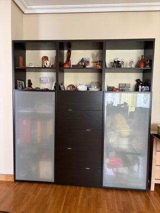 Librería IKEA Negra con Puertas de Cristal mates
