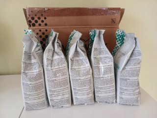 Kobosan Active Vorwerk Folletto singola/lotto