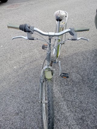 Bicicleta de ciudad gris