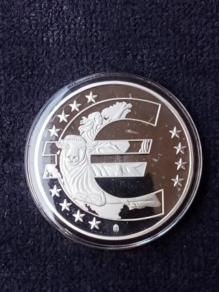 Europa Medaglia commemorativa 10 anni Euro FS.
