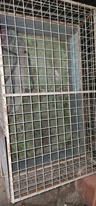 Jaula metálica para perros grande
