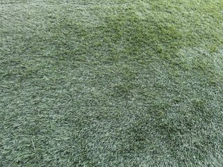 Césped Artificial 100m2