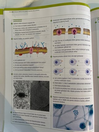 Biologia, zientziak, Batxilergoa 2
