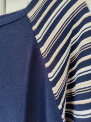 Jersey Escorpión Azul