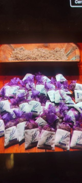 6 Sacchetti di semi di Lavanda autentica