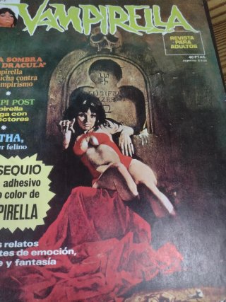 13 Revistas VAMPIRELLA