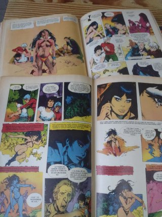 13 Revistas VAMPIRELLA