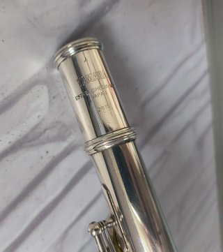 Yamaha bañada en plata YFL 281S