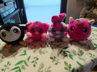 Squiscy