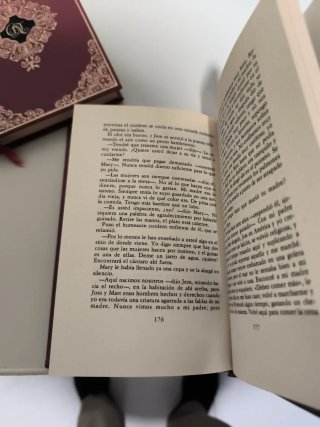 La posada de Jamaica. Daphne du Maurier. 2T.