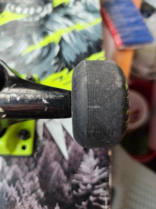 Tabla Skateboard Oxelo Lobo