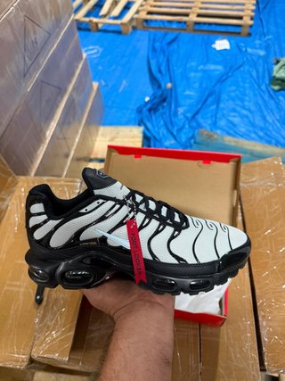 Tallas de 40 a 45 Nike Air Max Plus