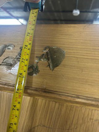 Puerta de Madera con Manilla