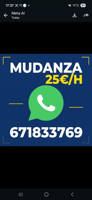 Servicio de Mudanzas