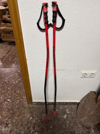 Bastones de esquí Rossignol GS