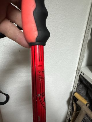 Bastones de esquí Rossignol GS