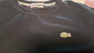 Conjunto Lacoste Negro Talla S
