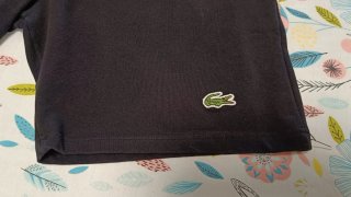 Conjunto Lacoste Negro Talla S