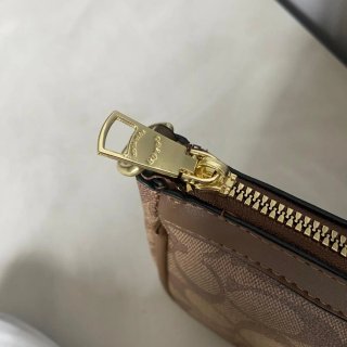Borsa Coach Marrone