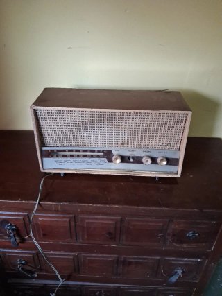 Radio Wald 305 Beige/Marrón