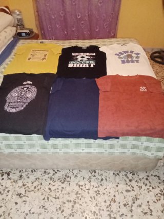 Lote de 6 Camisetas de Verano para Hombre.
