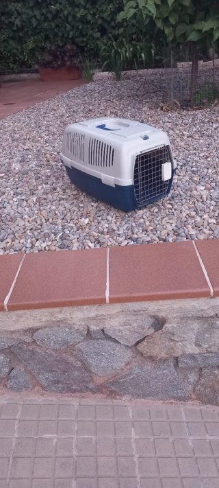 Transportín para Gato