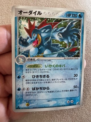 Carta Pokémon Feraligatr Giapponese
