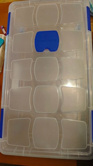 Caja Almacenaje Bajo Cama Plastic Forte 56L