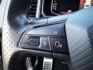 Cupra Ateca 2.0 TSI 221 kW