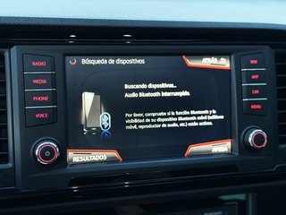 Cupra Ateca 2.0 TSI 221 kW