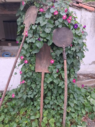 Lote de Palas Antiguas de Pan y Accesorios